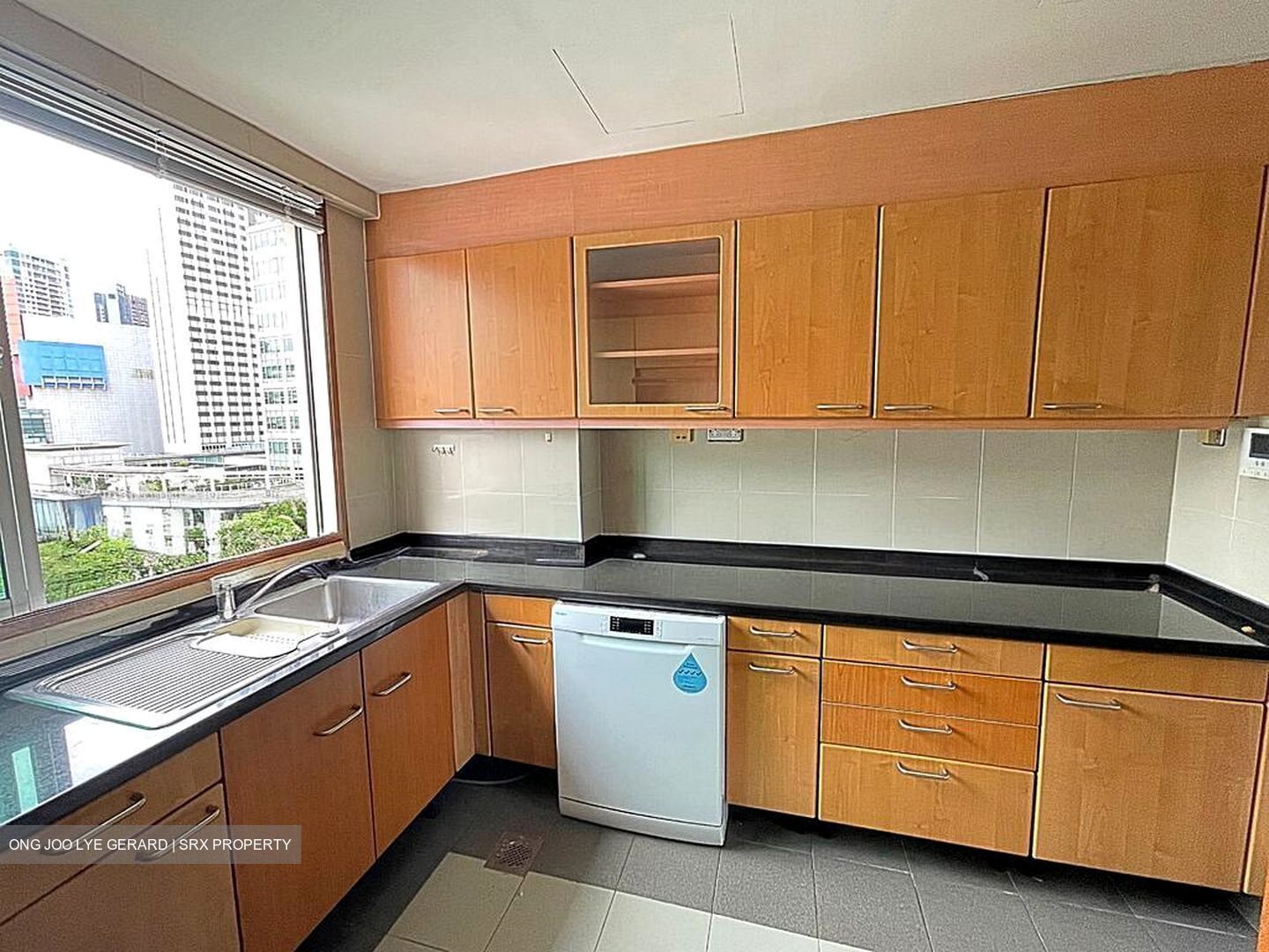 Jalan Aruan (D9), Condominium #495630071